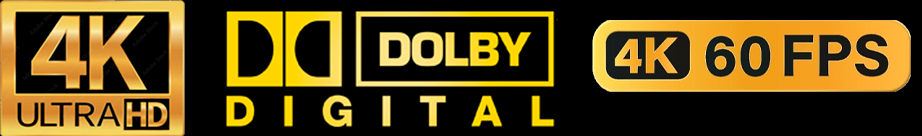 ProSkyTV.net Logo